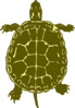 Turtle Art Clip Art